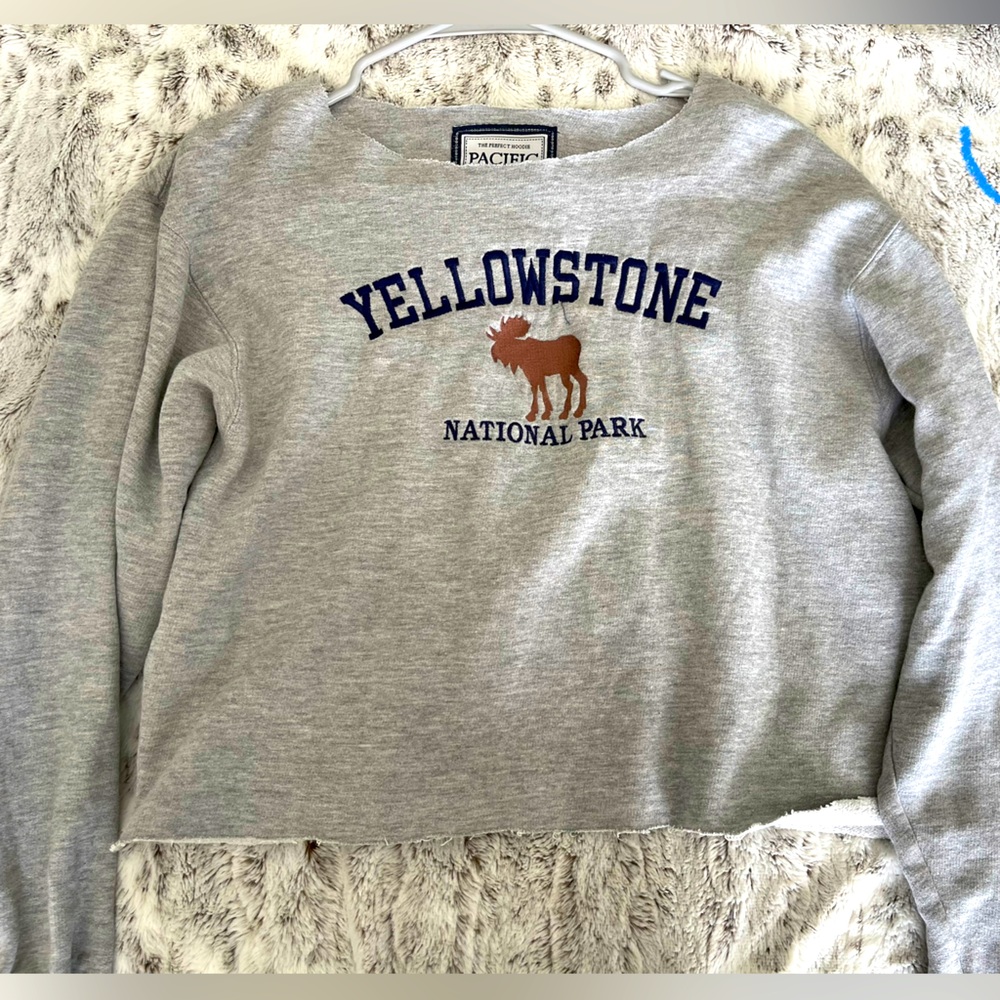 Yellowstone Cropped sweatshirt- Size: Juniors SM